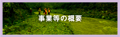 事業等の概要